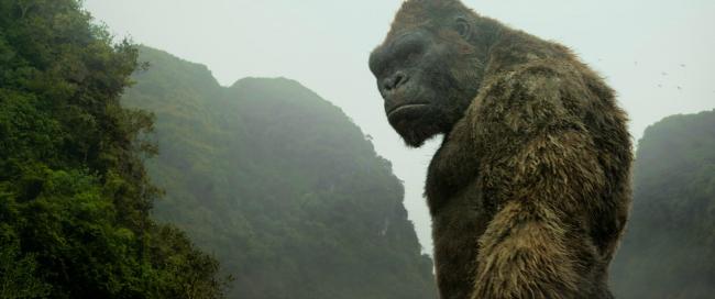 Der Affe Kong in Kong Skull Island