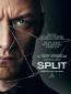 Split 2017 Teaser-Poster