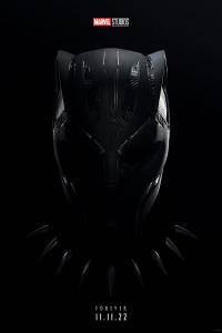 Black Panther 2 Poster