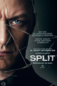 Split 2017 Teaser-Poster