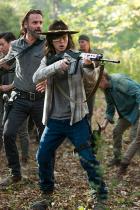 Kritik zu The Walking Dead 7.15: Something They Need