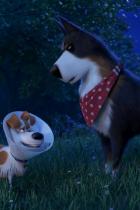 Pets 2: Finaler Trailer online