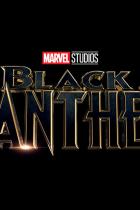 MCU-Updates: Black Panther, Guardians of the Galaxy Vol. 2 & Avengers: Infinity War