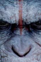 Dawn of the Planet of the Apes