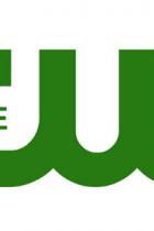 The CW verlängert Supernatural, Arrow, Supergirl, The Flash und weitere Serien