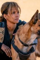 Moonfall: Halle Berry spielt die weibliche Hauptrolle im neuen Katastrophenfilm von Roland Emmerich