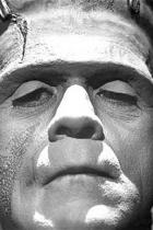 Universal-Monsterverse: Javier Bardem als Frankenstein&#039;s Monster?