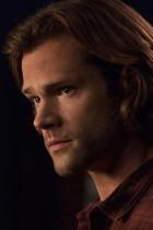 Walker, Texas Ranger: Reboot mit Jared Padalecki in Entwicklung