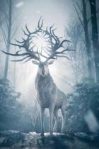 Shadow and Bone: Netflix bestellt Serienadaption der Fantasy-Reihe