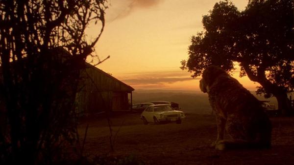 Szenenbild aus der Verfilmung zu Stephen Kings Cujo