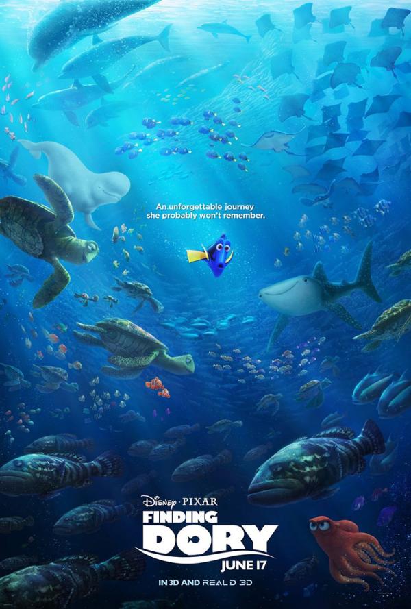 Findet Dorie Poster