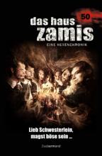 Das Haus Zamis 50, Titelbild, Rezension