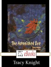 The Astonished Eye, Tracy Knight, Rezension