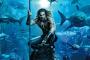 Aquaman 2: Lost Kingdom - Teaser stimmt auf den ersten Trailer ein