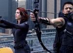 Avengers Hawkeye & Black Widow