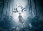 Shadow and Bone: Netflix veröffentlicht erste Bilder aus der Fantasy-Serie